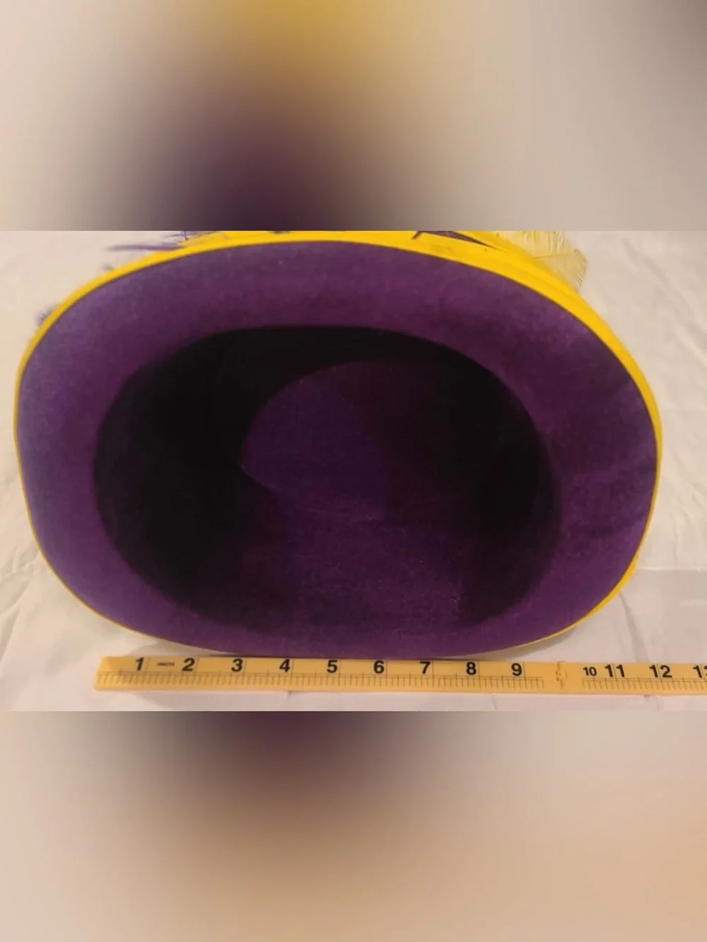4 Purple Mardi Gras Feather Trim Top Hat with Green Band - Unbranded